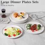 Set of large dinner plates with food on a light gray surface
